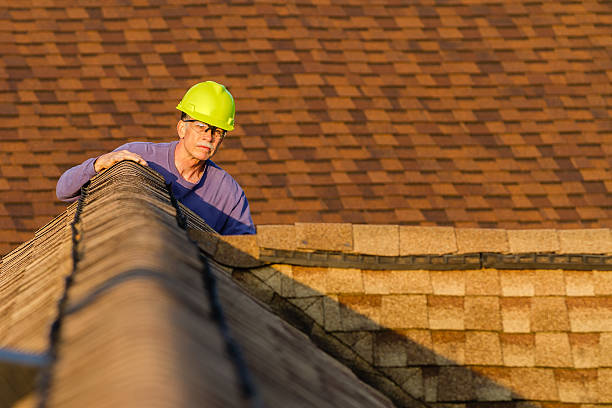 Roof Gutter Cleaning in Pineville, KY